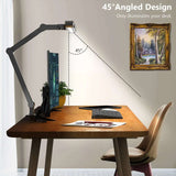 LED Desk Lamp with Clamp - WHIMSY BARGAIN WAREHOUSE