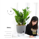 Self-Watering Indoor Flower Pot - Golden Double Layer Design - WHIMSY BARGAIN WAREHOUSE