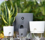 Self-Watering Indoor Flower Pot - Golden Double Layer Design - WHIMSY BARGAIN WAREHOUSE