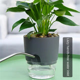 Self-Watering Indoor Flower Pot - Golden Double Layer Design - WHIMSY BARGAIN WAREHOUSE