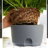 Self-Watering Indoor Flower Pot - Golden Double Layer Design - WHIMSY BARGAIN WAREHOUSE