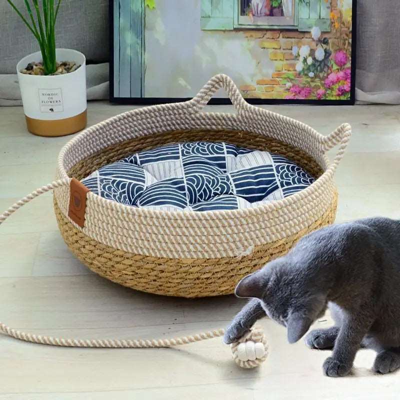 Summer Woven Cat Bed with Removable Upholstery - WHIMSY BARGAIN WAREHOUSE