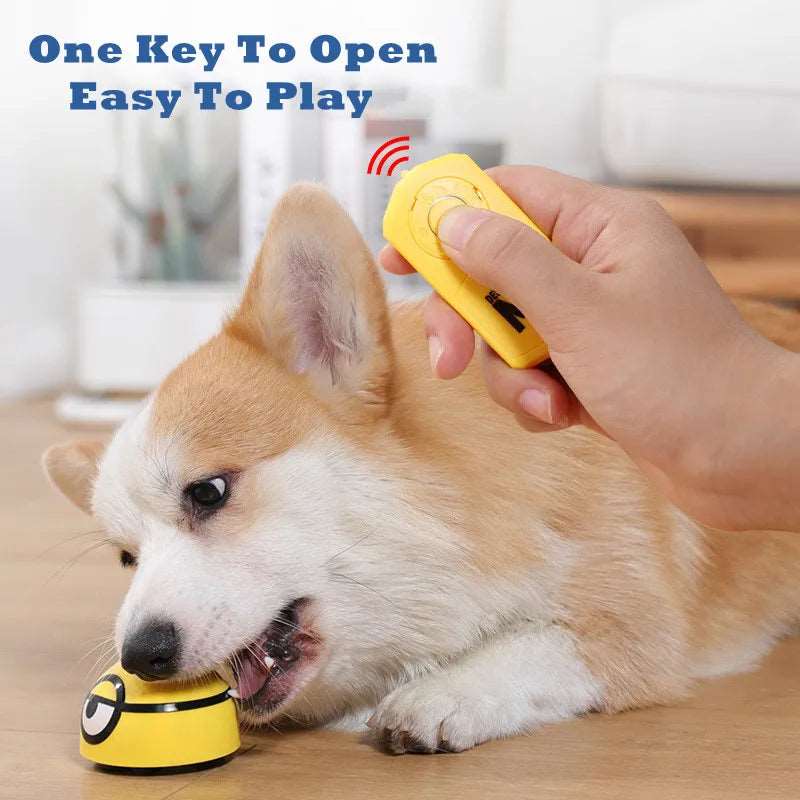 Interactive Escaping Pet Toy for Kids, Cats, and Dogs - WHIMSY BARGAIN WAREHOUSE