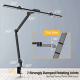 LED Desk Lamp with Clamp - WHIMSY BARGAIN WAREHOUSE