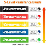 Resistance Bands Set - Home Fitness Equipment for Strength Training - WHIMSY BARGAIN WAREHOUSE