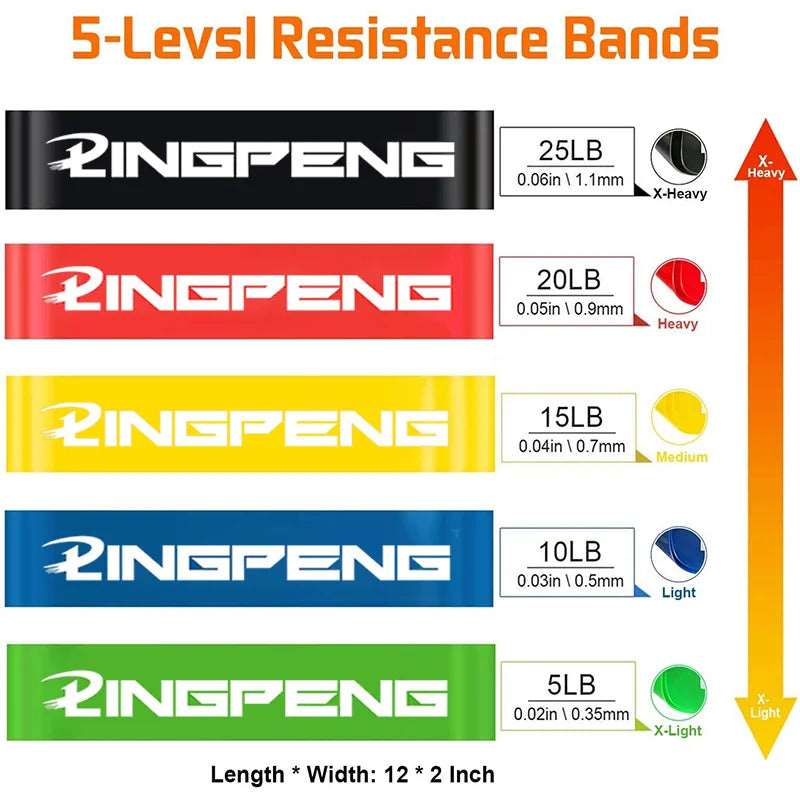 Resistance Bands Set - Home Fitness Equipment for Strength Training - WHIMSY BARGAIN WAREHOUSE