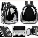 Transparent Capsule Pet Backpack for Travel - WHIMSY BARGAIN WAREHOUSE