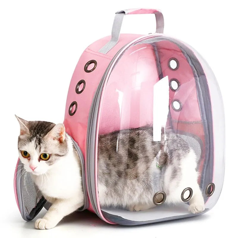 Transparent Capsule Pet Backpack for Travel - WHIMSY BARGAIN WAREHOUSE